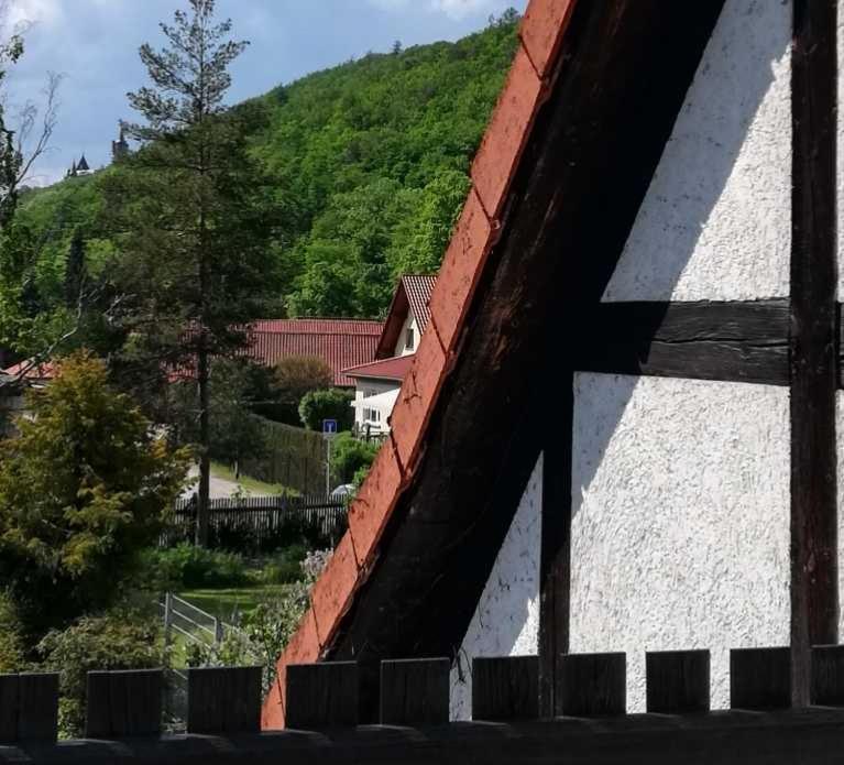 Ferienwohnung Natur Pur Muehlental Вернигероде Экстерьер фото