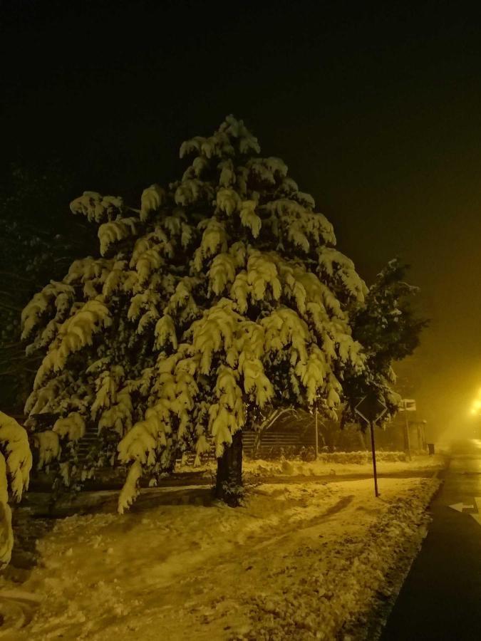Ferienwohnung Natur Pur Muehlental Вернигероде Экстерьер фото